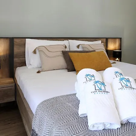 T3-house Of The Palm Tree 나자레